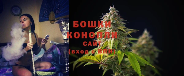 винт Майский