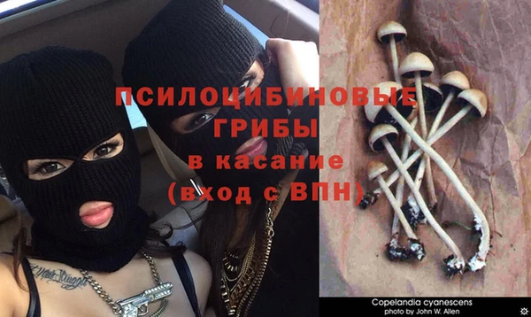 тгк Медногорск