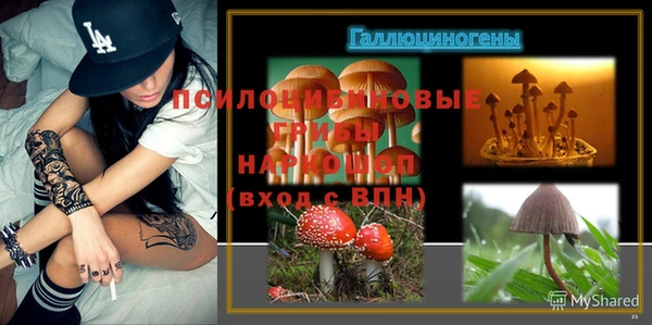 винт Майский