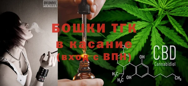 тгк Медногорск
