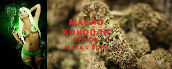 тгк Медногорск